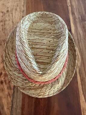 Pistil Straw Fedora Hat with Pink Woven Band
